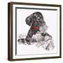 Newspaper Pup - 13A-Peggy Harris-Framed Giclee Print