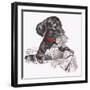 Newspaper Pup - 13A-Peggy Harris-Framed Giclee Print