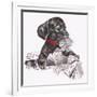 Newspaper Pup - 13A-Peggy Harris-Framed Giclee Print