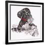 Newspaper Pup - 13A-Peggy Harris-Framed Giclee Print