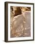 Newspaper Rock, Newspaper Rock Recreation Site, Utah, USA-Kober Christian-Framed Photographic Print