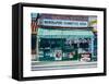 Newspaper Stand, West Village, NYC, 2012-Anthony Butera-Framed Stretched Canvas