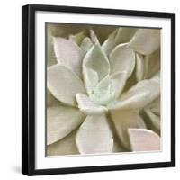 Newspaper Succulent 1-Kimberly Allen-Framed Photographic Print