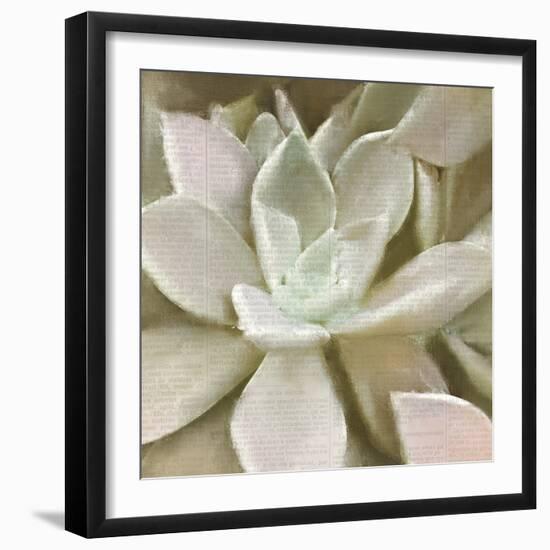 Newspaper Succulent 1-Kimberly Allen-Framed Photographic Print