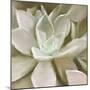 Newspaper Succulent 1-Kimberly Allen-Mounted Photographic Print