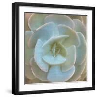 Newspaper Succulent 2-Kimberly Allen-Framed Photographic Print