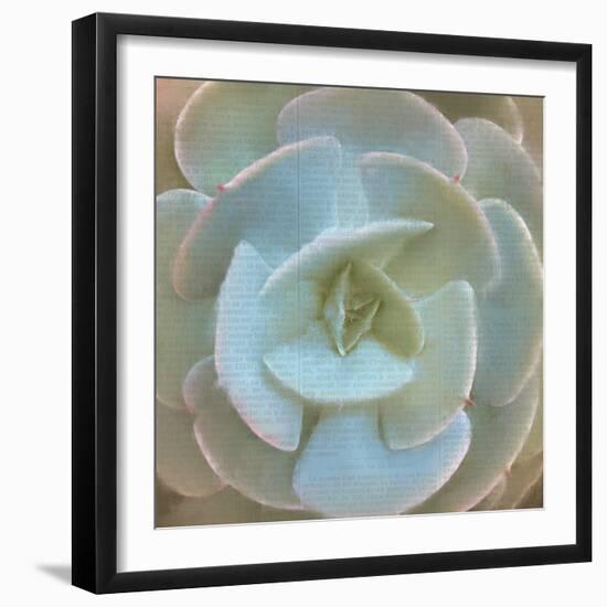 Newspaper Succulent 2-Kimberly Allen-Framed Photographic Print