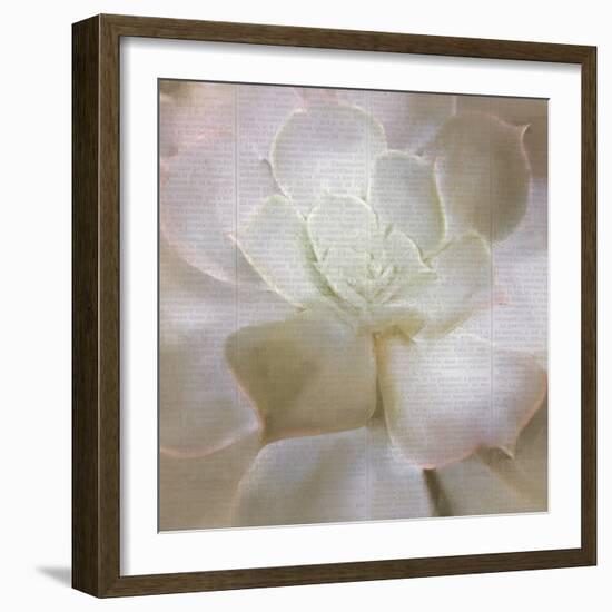 Newspaper Succulent 3-Kimberly Allen-Framed Photographic Print