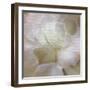 Newspaper Succulent 3-Kimberly Allen-Framed Photographic Print