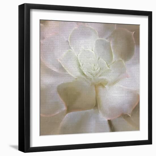 Newspaper Succulent 3-Kimberly Allen-Framed Photographic Print