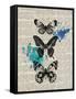 Newsprint Butterflies-Morgan Yamada-Framed Stretched Canvas