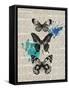 Newsprint Butterflies-Morgan Yamada-Framed Stretched Canvas