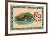 Newt-null-Framed Art Print