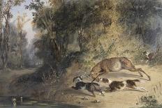 Deerhound and Bitch Cornering a Stag at the Edge of a Woodland Pool (W/C-Newton Fielding-Framed Giclee Print