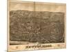 Newton, Massachusetts - Panoramic Map-Lantern Press-Mounted Art Print