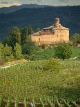Tenuta La Volta, an Old Fortified Wine Cantina, Near Barolo, Piedmont, Italy, Europe-Newton Michael-Photographic Print