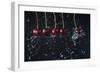 Newton's Cradle-Dina Belenko-Framed Giclee Print