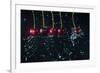 Newton's cradle-Dina Belenko-Framed Photographic Print