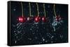 Newton's cradle-Dina Belenko-Framed Stretched Canvas