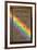 Newton's Opticks with Colour Spectrum-David Parker-Framed Photographic Print