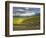 Newton Vineyard, Napa Valley, California, Usa-Janis Miglavs-Framed Photographic Print