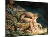 Newton-William Blake-Mounted Giclee Print