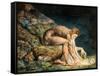 Newton-William Blake-Framed Stretched Canvas