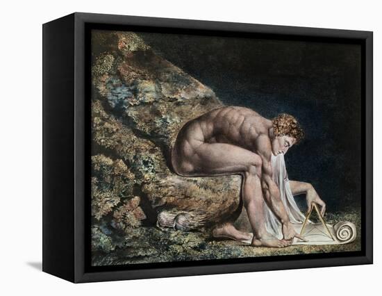 Newton-William Blake-Framed Stretched Canvas