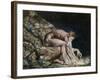 Newton-William Blake-Framed Giclee Print