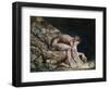 Newton-William Blake-Framed Premium Giclee Print