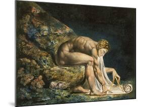 Newton-William Blake-Mounted Giclee Print