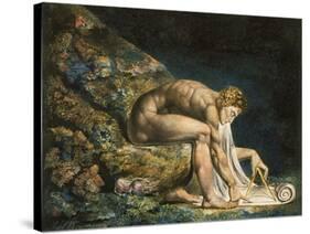 Newton-William Blake-Stretched Canvas