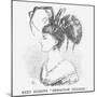 Next Hideous Sensation Chignon, 1867-Edward Linley Sambourne-Mounted Giclee Print