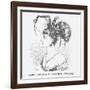 Next Hideous Sensation Chignon, 1867-Edward Linley Sambourne-Framed Giclee Print