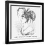 Next Hideous Sensation Chignon, 1867-Edward Linley Sambourne-Framed Giclee Print