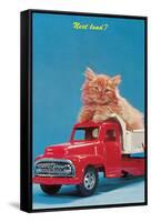 Next Load? Kitten in Toy Truck-null-Framed Stretched Canvas
