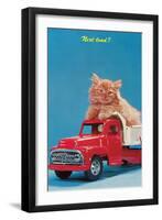 Next Load? Kitten in Toy Truck-null-Framed Art Print