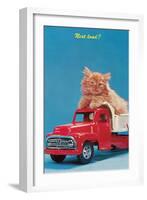 Next Load? Kitten in Toy Truck-null-Framed Art Print