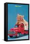 Next Load? Kitten in Toy Truck-null-Framed Stretched Canvas
