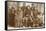 Nez Perce Family, 1900-1902-E.G. Cummings-Framed Stretched Canvas