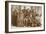 Nez Perce Family, 1900-1902-E.G. Cummings-Framed Giclee Print