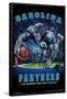 NFL Carolina Panthers - End Zone 17-Trends International-Framed Poster