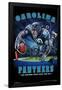 NFL Carolina Panthers - End Zone 17-Trends International-Framed Poster