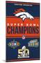 NFL Denver Broncos - Champions 23-Trends International-Mounted Poster