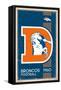 NFL Denver Broncos - Retro Logo 14-Trends International-Framed Stretched Canvas