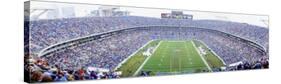 NFL Football, Ericsson Stadium, Charlotte, North Carolina, USA-null-Stretched Canvas