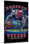 NFL Houston Texans - End Zone 17-Trends International-Mounted Poster