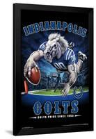 NFL Indianapolis Colts - End Zone 17-Trends International-Framed Poster