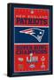 NFL New England Patriots - Champions 19-Trends International-Framed Poster