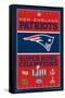 NFL New England Patriots - Champions 19-Trends International-Framed Stretched Canvas